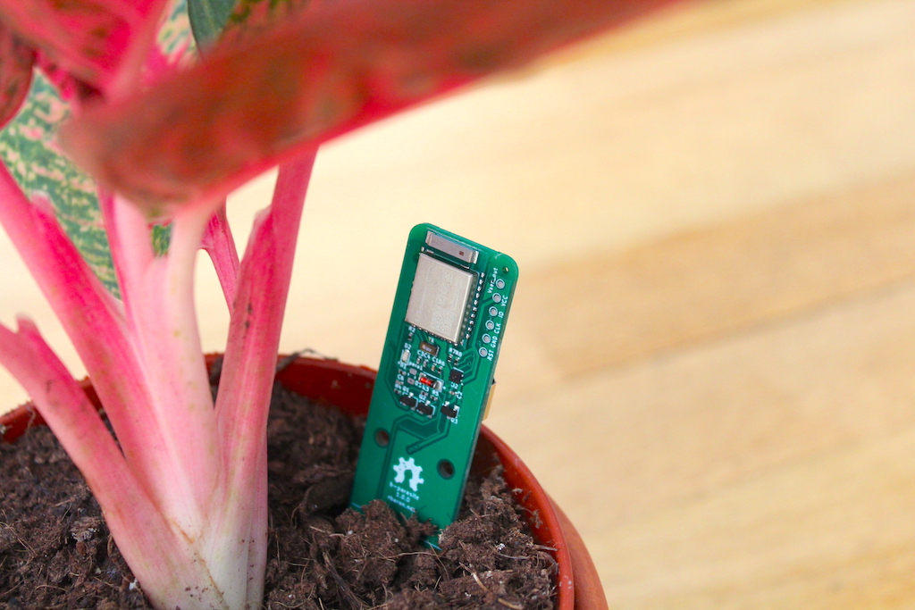 b-parasite stuck into a small plant vase